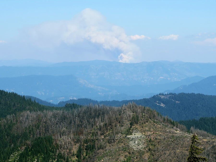 Cedar Creek Fire [Bohemia Mountain, Umpqua National Forest, Lane County, Oregon]