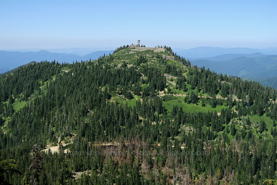 Fairview Peak [Bohemia Mountain, Umpqua National Forest, Lane County, Oregon]