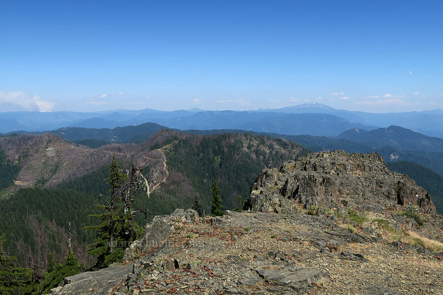 summit of Bohemia Mountain [Bohemia Mountain, Umpqua National Forest, Lane County, Oregon]