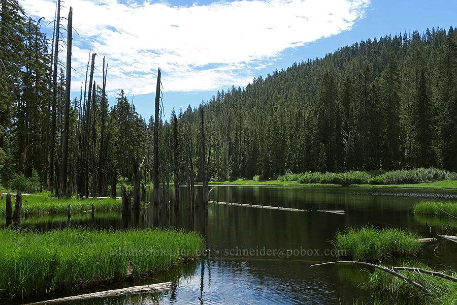 Loletta Lakes [Loletta Lakes, Willamette National Forest, Douglas County, Oregon]