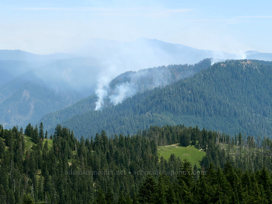 Potter Fire [Balm Mountain, Umpqua National Forest, Douglas County, Oregon]
