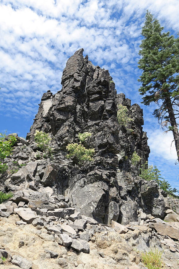 summit block [Balm Mountain, Umpqua National Forest, Douglas County, Oregon]