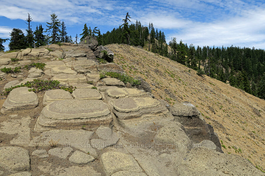 interesting rocks [Balm Mountain, Umpqua National Forest, Douglas County, Oregon]