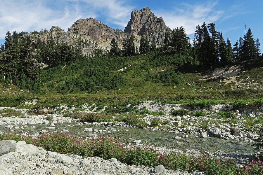 Lewis' monkeyflower & Cathedral Rock (Erythranthe lewisii (Mimulus lewisii)) [west of Cathedral Rock, Alpine Lakes Wilderness, Kittitas County, Washington]