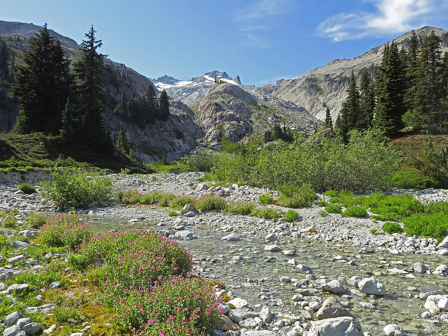 Mount Daniel & a subalpine stream [west of Cathedral Rock, Alpine Lakes Wilderness, Kittitas County, Washington]