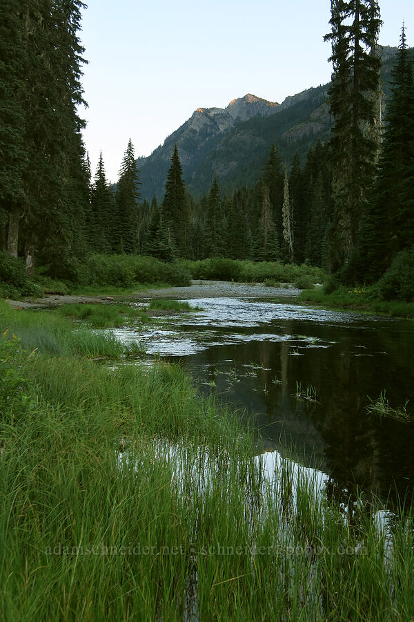 Cle Elum River [Scatter Creek Campground, Okanogan-Wenatchee National Forest, Kittitas County, Washington]