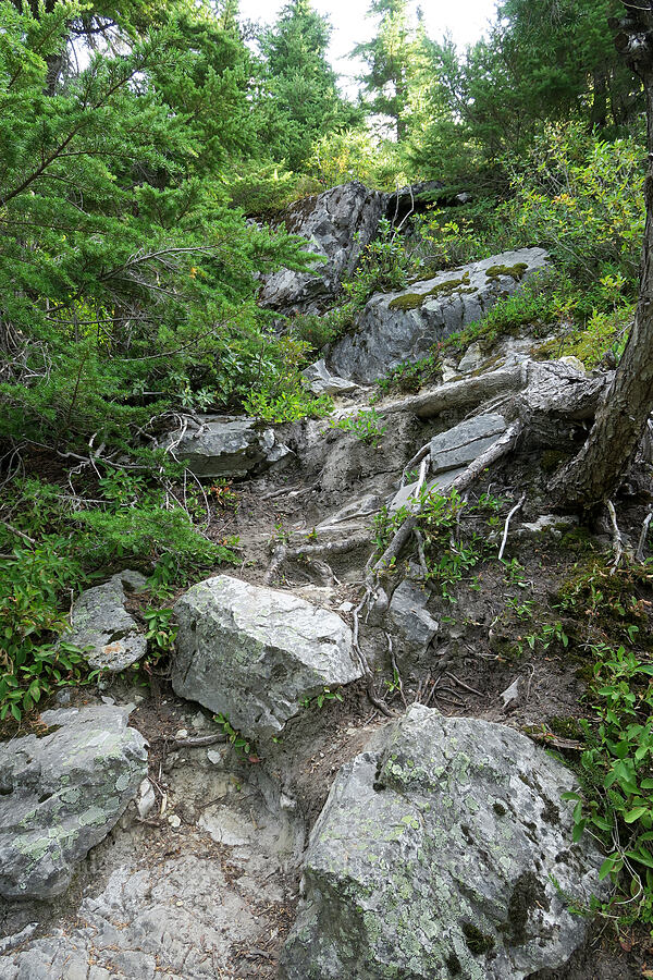 the trail [Guye Peak Trail, Alpine Lakes Wilderness, King County, Washington]