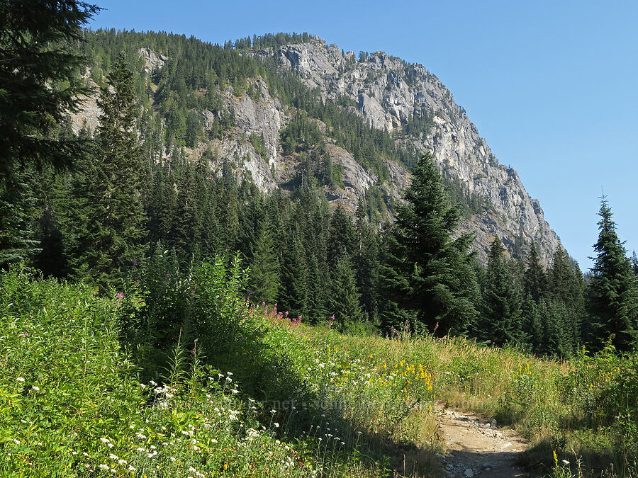 Guye Peak from the trailhead [Snoqualmie Mountain/Guye Peak Trail, Mt. Baker-Snoqualmie National Forest, King County, Washington]