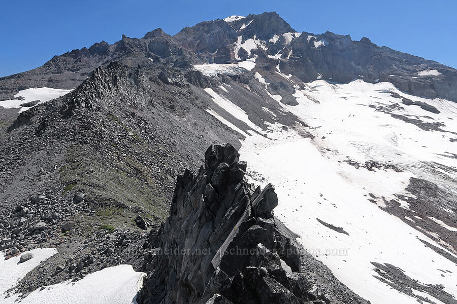 Sandy Glacier & the upper end of Cathedral Ridge [Co Rock, Mt. Hood Wilderness, Hood River County, Oregon]