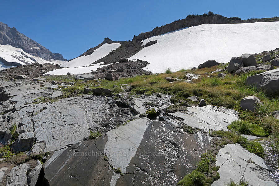 snowmelt below Ho Rock [Cathedral Ridge, Mt. Hood Wilderness, Hood River County, Oregon]