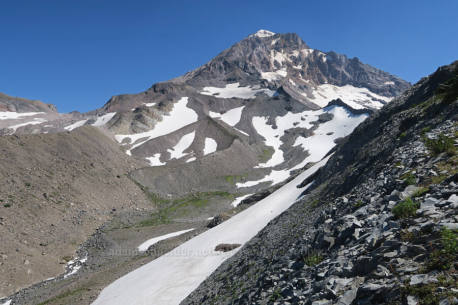 Mount Hood & Glisan Glacier [Cathedral Ridge, Mt. Hood Wilderness, Hood River County, Oregon]