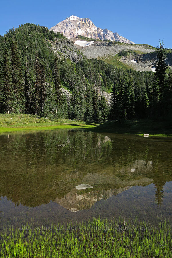 Mount Hood & Upper McNeil Pond [Timberline Trail, Mt. Hood Wilderness, Hood River County, Oregon]
