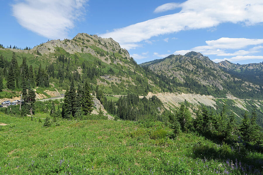 Deadwood Peak & Chinook Peak [Naches Peak climber's trail, Okanogan-Wenatchee National Forest, Yakima County, Washington]