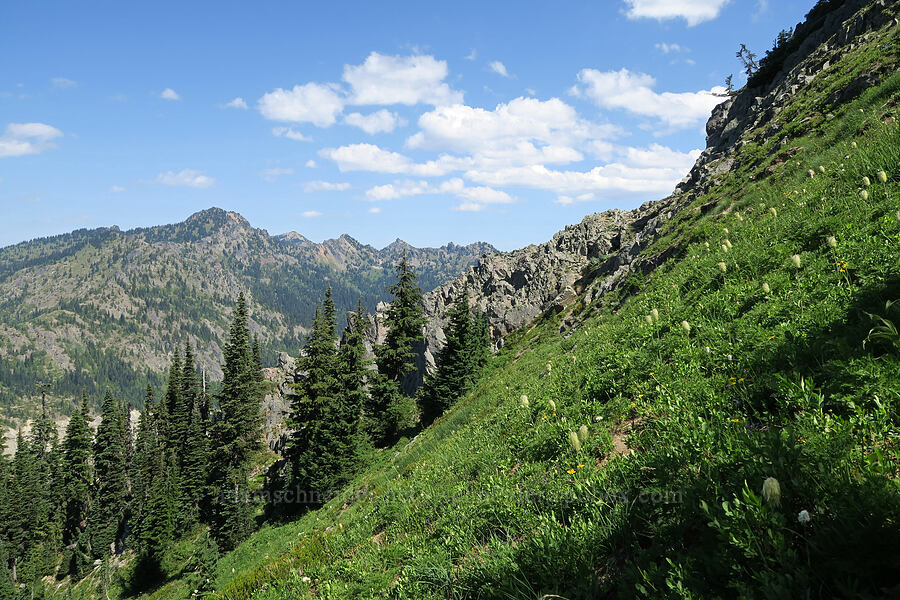 north side of Naches Peak [Naches Peak climber's trail, Mt. Rainier National Park, Yakima County, Washington]
