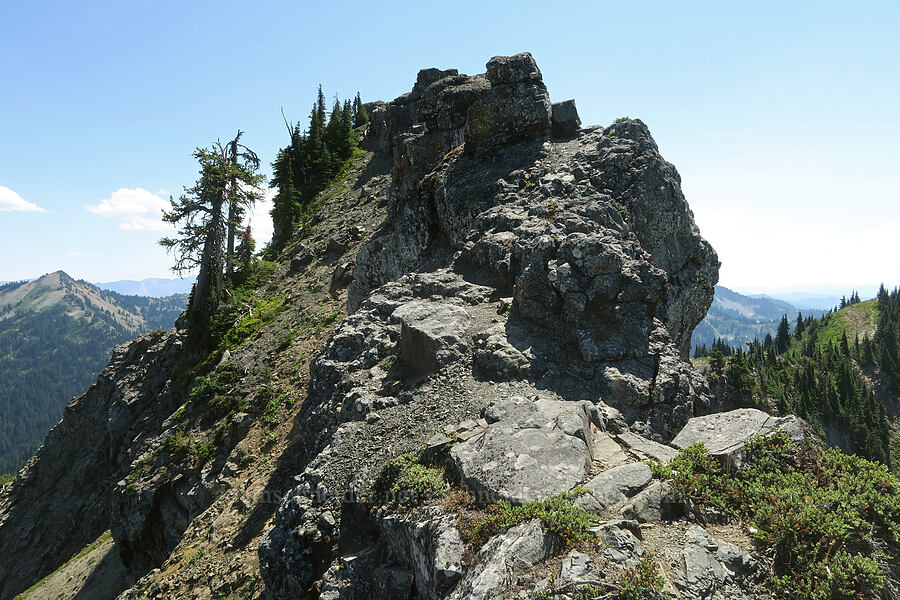 summit ridge [Naches Peak, Okanogan-Wenatchee National Forest, Yakima County, Washington]