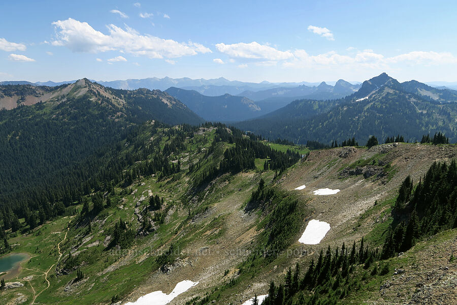 view to the east [Naches Peak summit, Okanogan-Wenatchee National Forest, Yakima County, Washington]