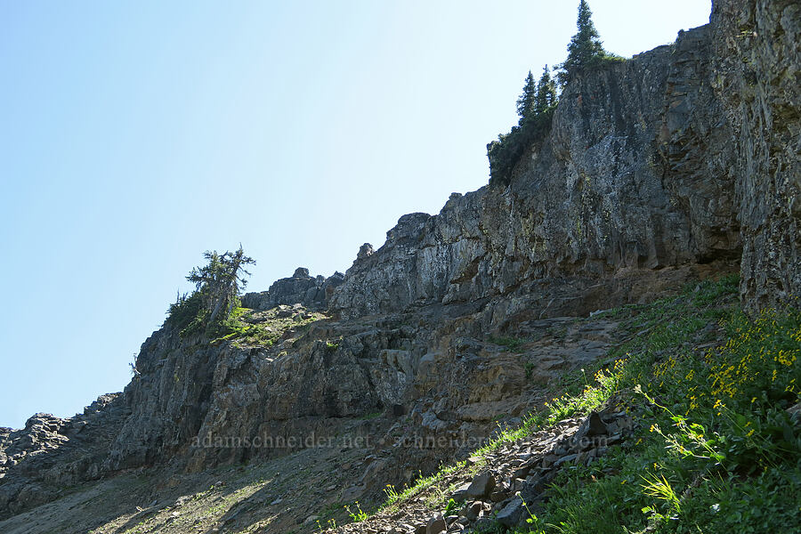 back side of the summit ridge [Naches Peak, Okanogan-Wenatchee National Forest, Yakima County, Washington]