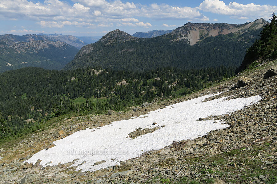 snowfield north of Naches Peak [Naches Peak, Okanogan-Wenatchee National Forest, Yakima County, Washington]