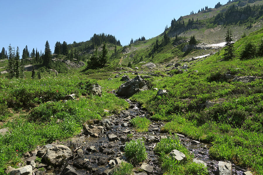 subalpine stream [Naches Peak, William O. Douglas Wilderness, Yakima County, Washington]