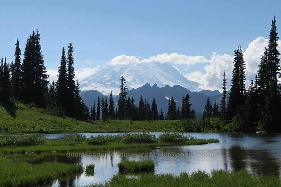 Mount Rainier & Upper Tipsoo Lake [Upper Tipsoo Lake, Mt. Rainier National Park, Pierce County, Washington]