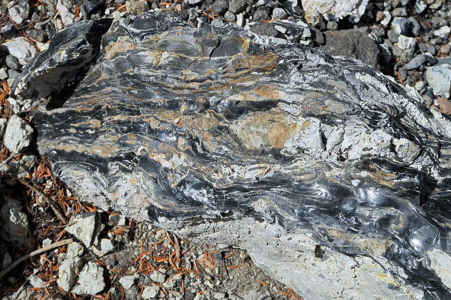 banded obsidian [Pacific Crest Trail, Three Sisters Wilderness, Lane County, Oregon]