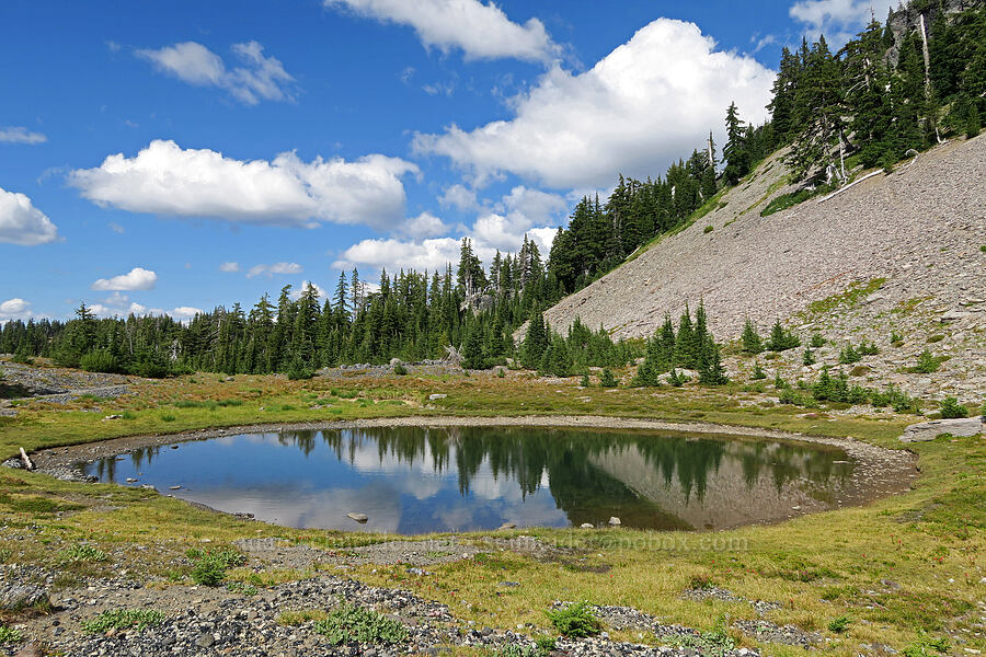 pond & talus [Pacific Crest Trail, Three Sisters Wilderness, Lane County, Oregon]