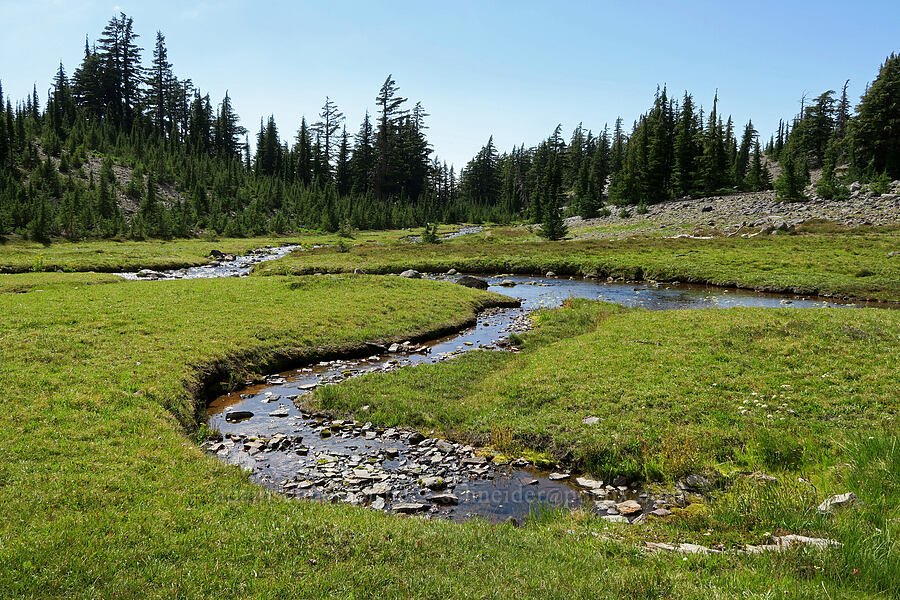 Sister Springs [Pacific Crest Trail, Three Sisters Wilderness, Lane County, Oregon]
