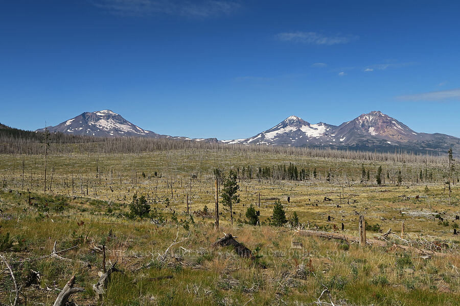 Three Sisters [Forest Road 16, Deschutes National Forest, Deschutes County, Oregon]