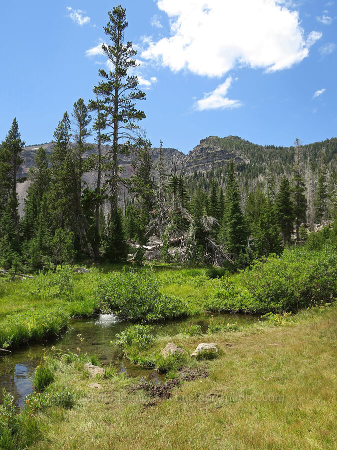 Tam McArthur Rim & a creek [Little Three Creek Lake Trail, Deschutes National Forest, Deschutes County, Oregon]