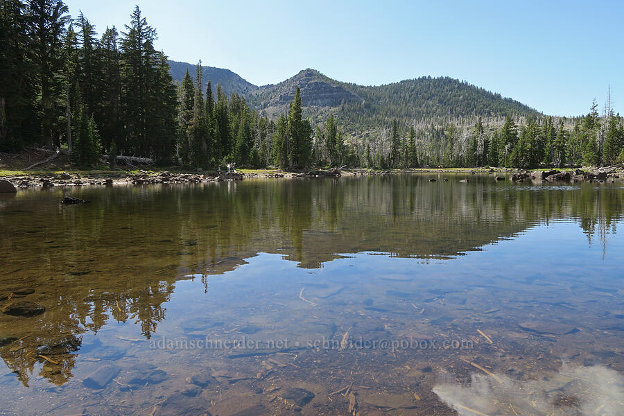 small unnamed lake [east of Little Three Creek Lake, Deschutes National Forest, Deschutes County, Oregon]