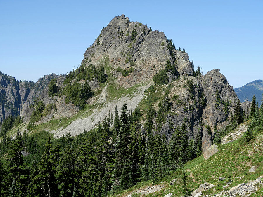 Lane Peak [Tatoosh Range, Mt. Rainier National Park, Lewis County, Washington]