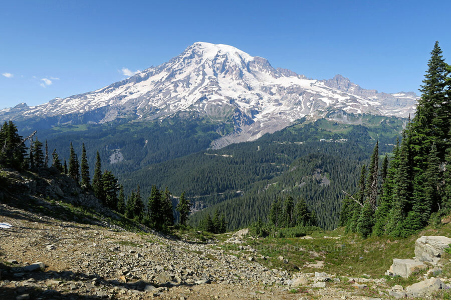 Mount Rainier [Denman Peak, Mt. Rainier National Park, Lewis County, Washington]