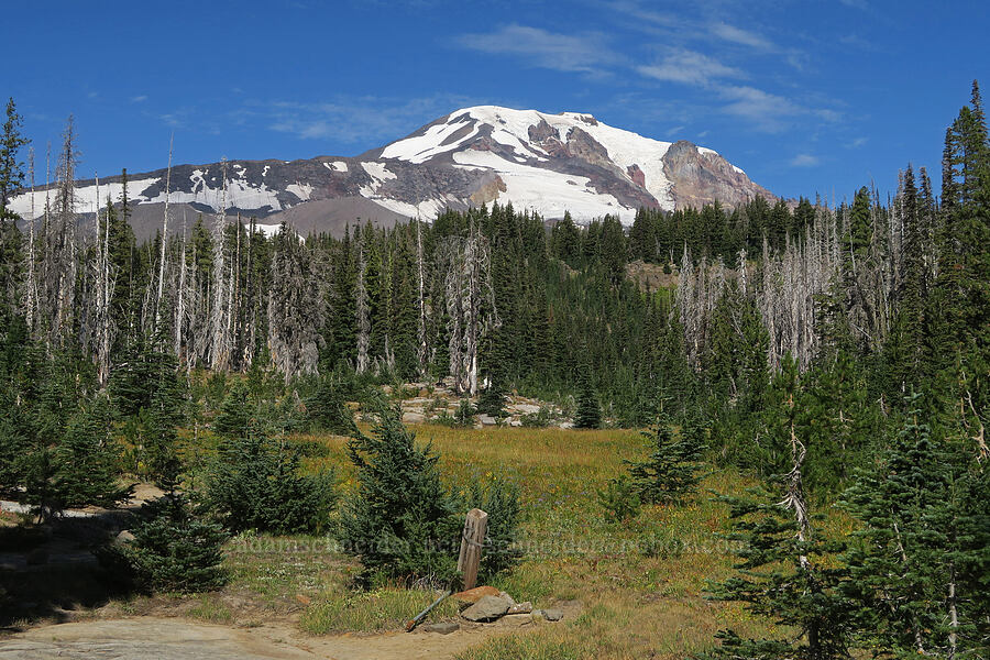 Mount Adams [Round-the-Mountain Trail, Yakama Reservation, Yakima County, Washington]