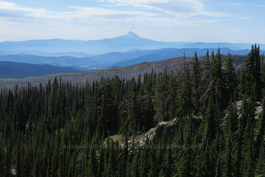 Mount Hood [Hellroaring Viewpoint Trail, Yakama Reservation, Yakima County, Washington]