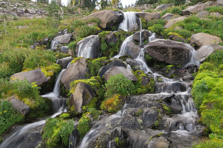 subalpine stream [Bird Creek Meadows, Yakama Reservation, Yakima County, Washington]