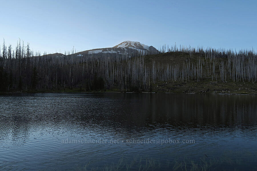 Mount Adams & Bird Lake [Bird Lake, Yakama Reservation, Yakima County, Washington]