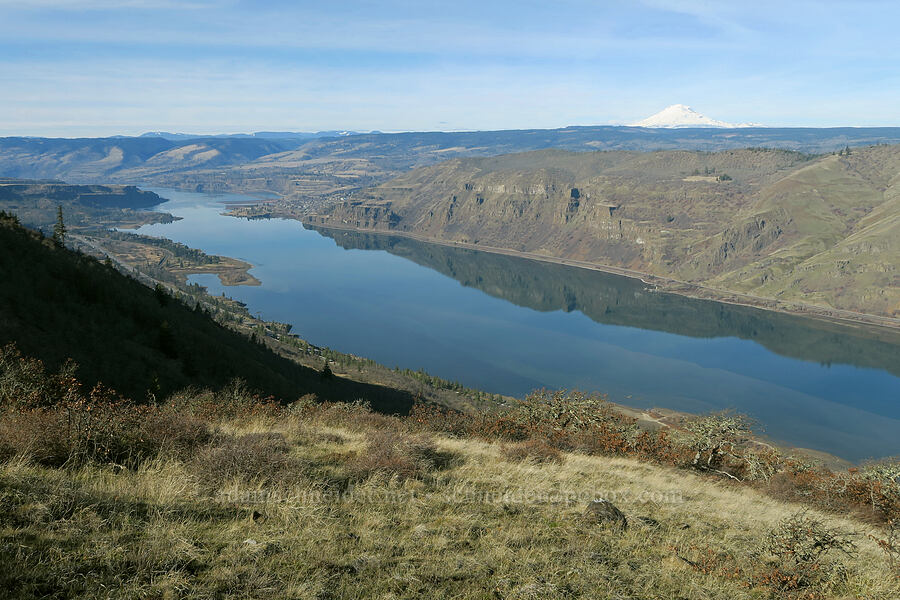 Mount Adams & the Columbia River [Crates Point, Wasco County, Oregon]