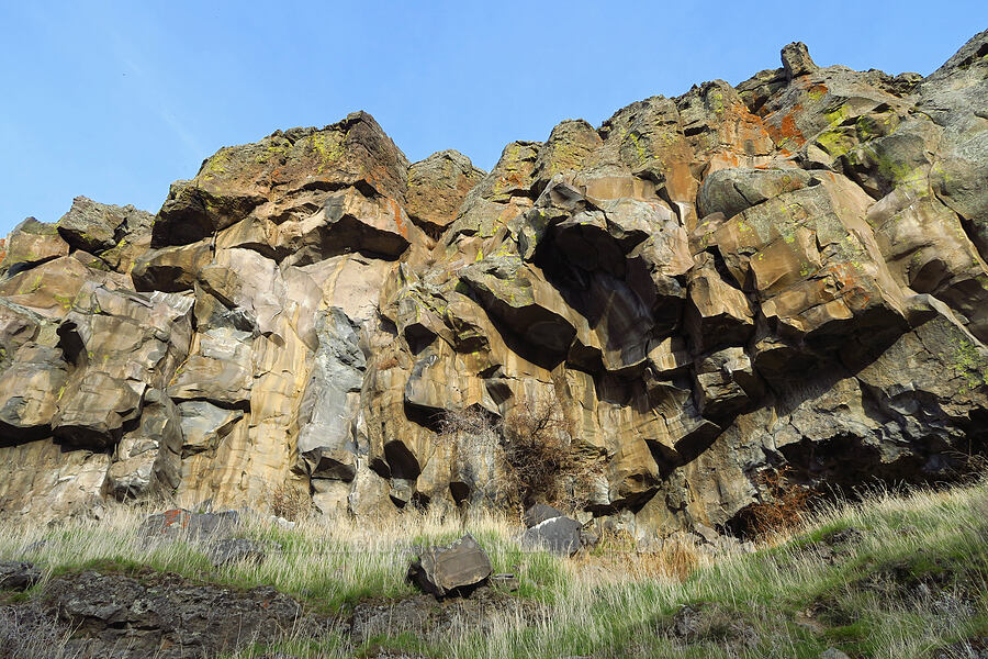 basalt [Riverview Trail, Deschutes River State Recreation Area, Sherman County, Oregon]