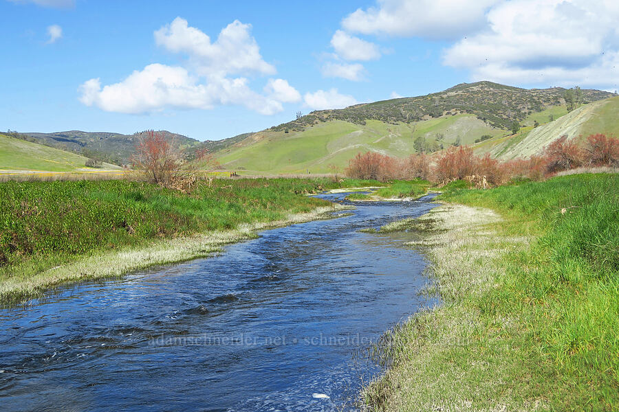 Bear Creek [BLM Bear Creek Ranch, Colusa County, California]