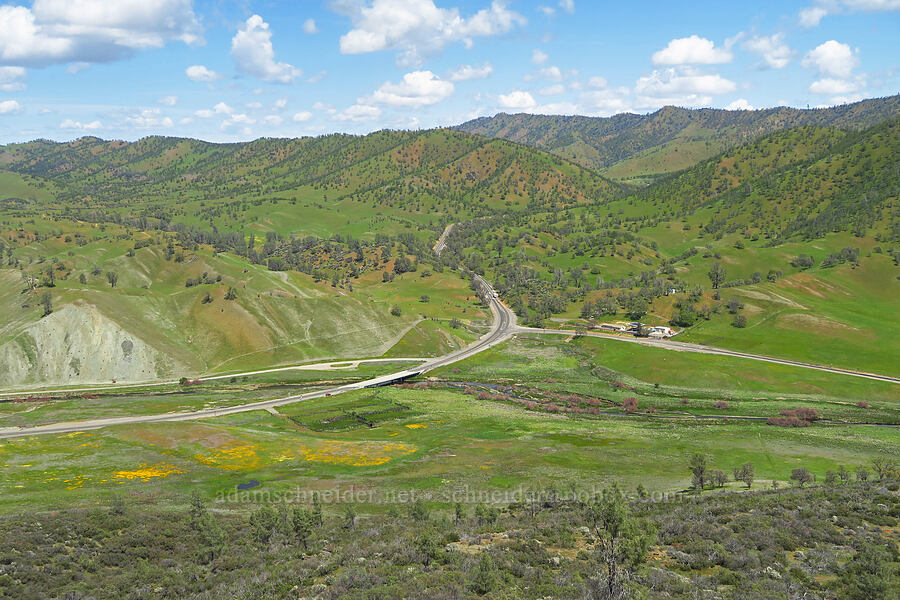 Bear Creek Valley [BLM Bear Creek Ranch, Colusa County, California]