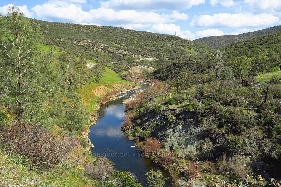 Bear Creek [Bear Valley Road, Colusa County, California]