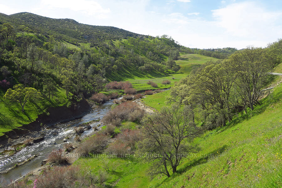 Bear Creek [Bear Valley Road, Colusa County, California]