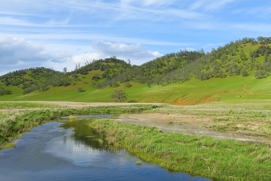 Bear Creek [Bear Valley Road, Colusa County, California]