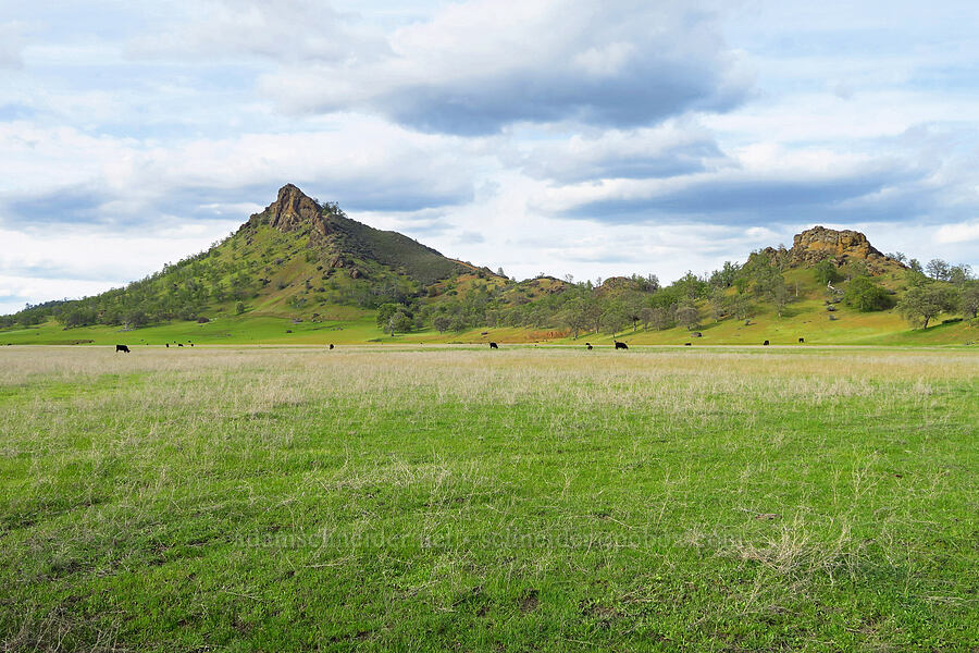 Bear Valley Buttes [Brim Road, Colusa County, California]