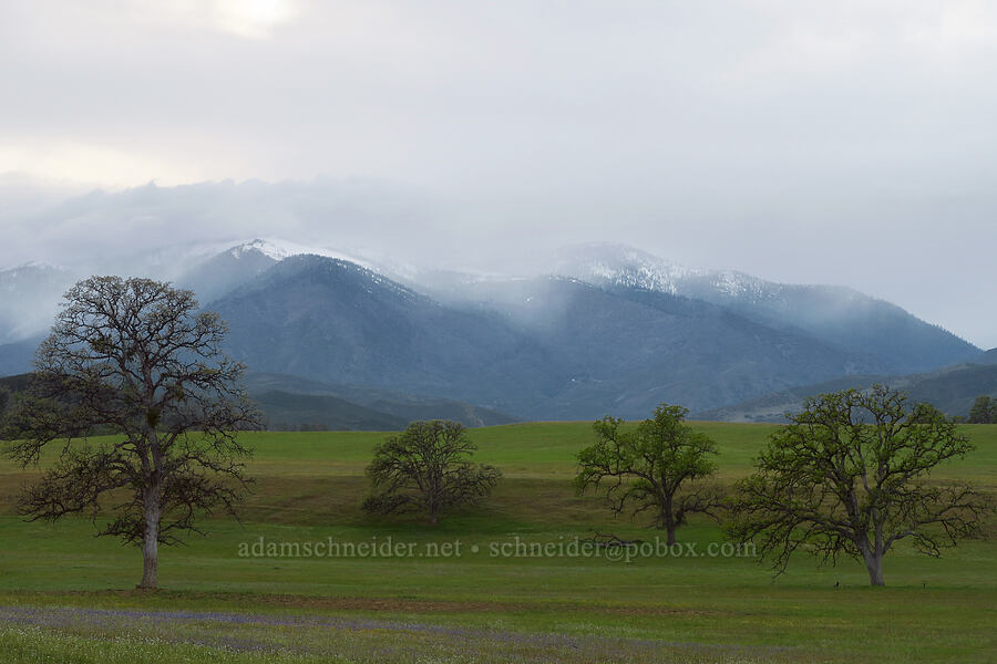 snow-covered mountains [Lodoga-Stonyford Road, Colusa County, California]