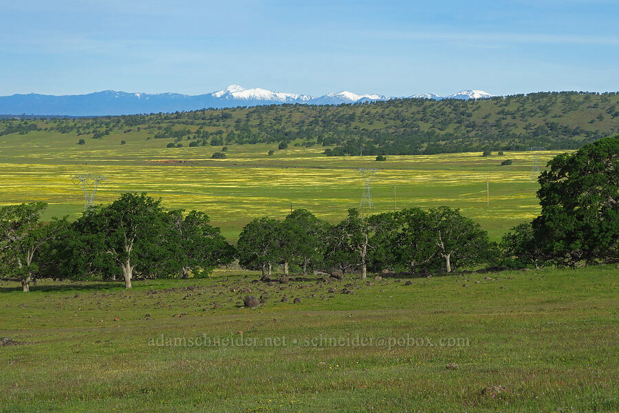 Salt Creek Valley & distant mountains [Hogsback Road, Tehama County, California]