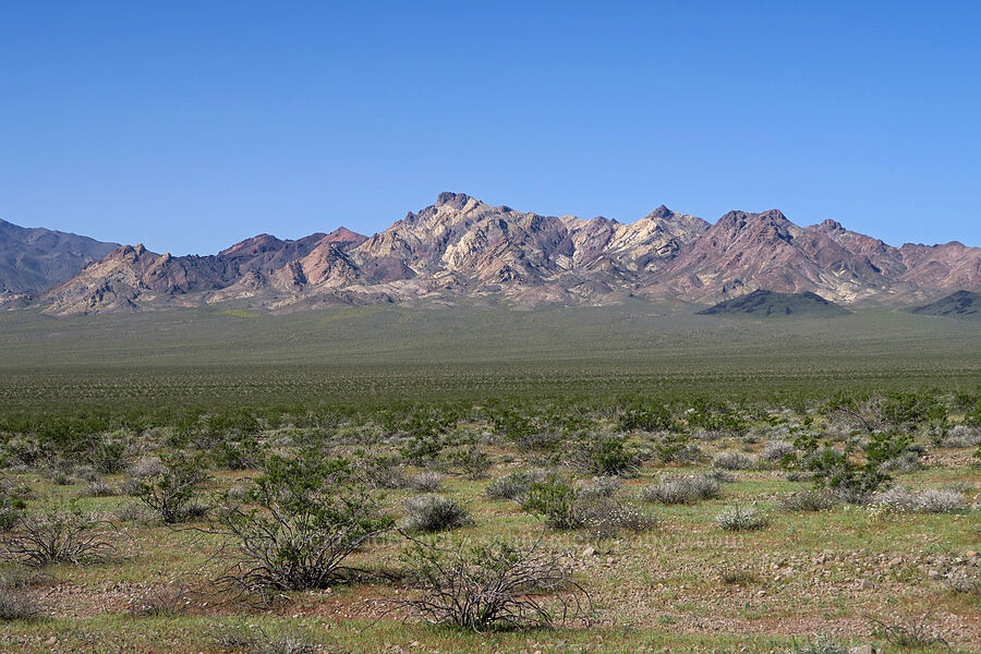 Sheephead Mountain & Ibex Hills [Jubilee Pass Road, Inyo County, California]