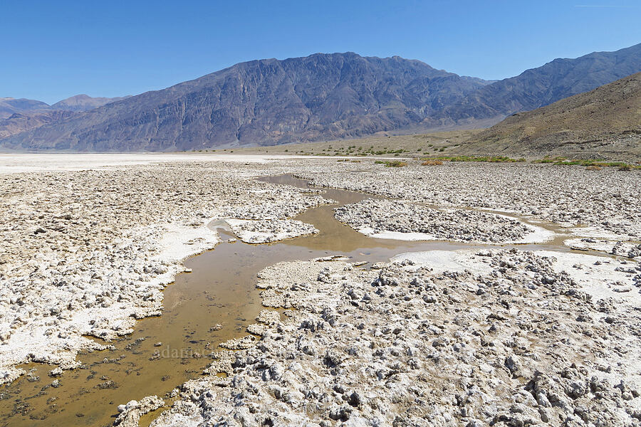 bad water [Mormon Point, Death Valley National Park, Inyo County, California]