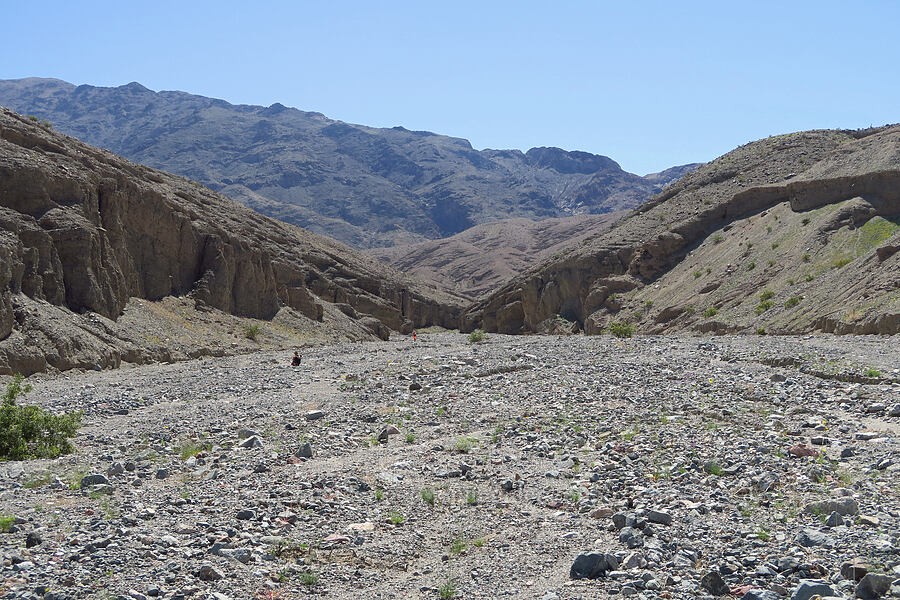 Sidewinder Canyon [Sidewinder Canyon, Death Valley National Park, Inyo County, California]