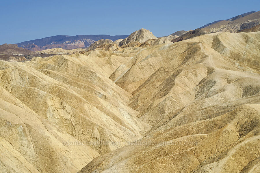 hills above Gower Gulch [Zabriskie Point, Death Valley National Park, Inyo County, California]